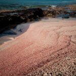 Pink sands of Balos beach